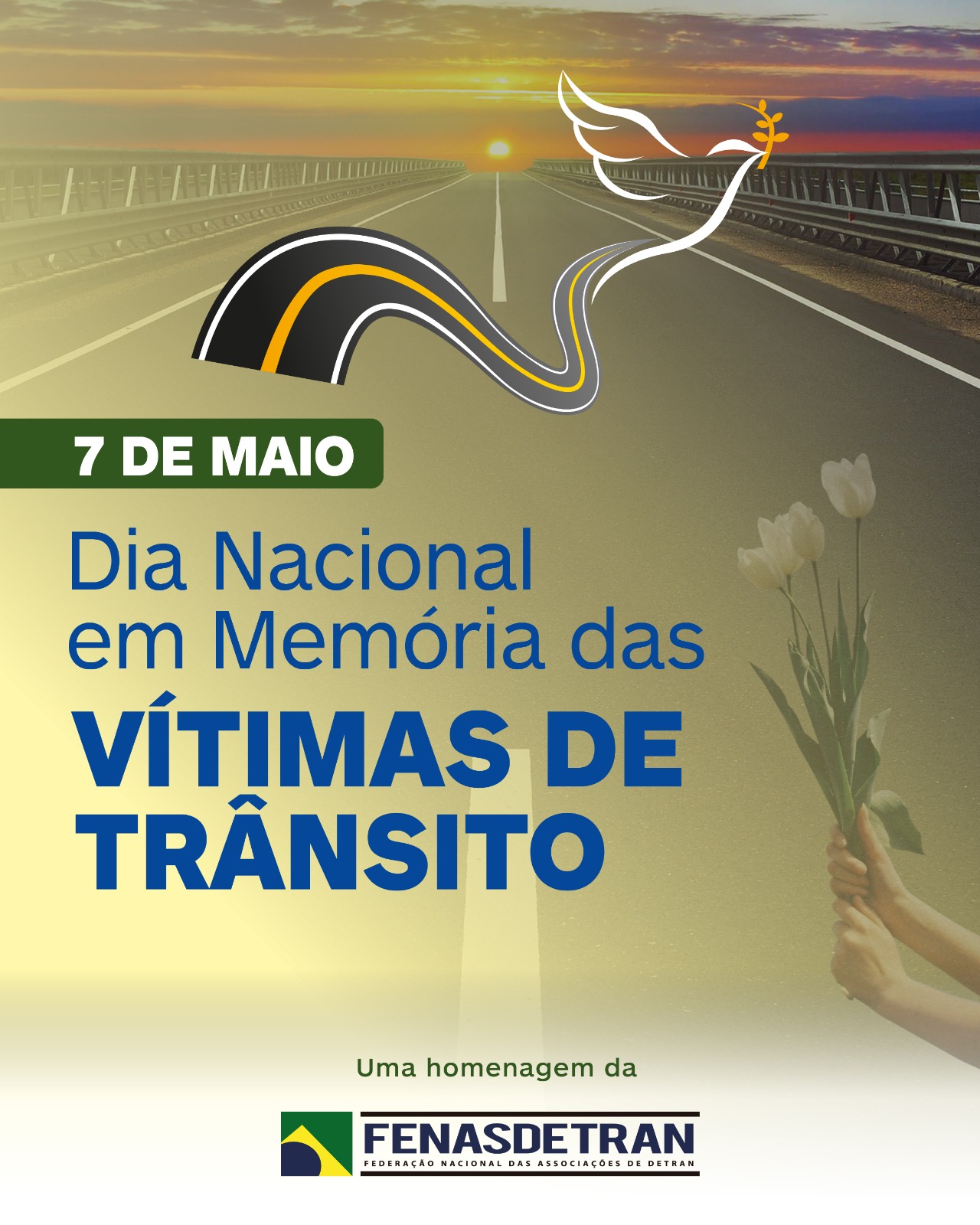 Brasil celebra pela primeira vez o Dia Nacional em Memória das Vítimas de Trânsito